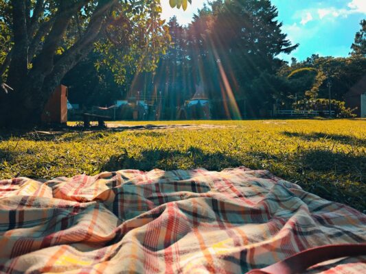 mad til picnic