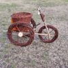 Stor cykel med plantekumme