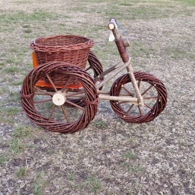 Stor cykel med plantekumme